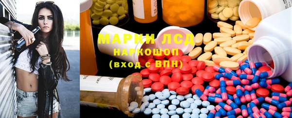 кокс Арсеньев