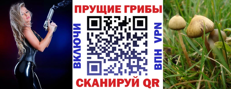 Галлюциногенные грибы Cubensis гидра ТОР Боровичи