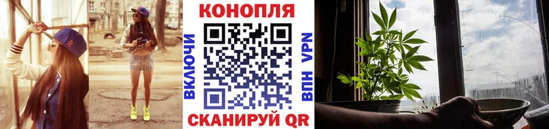 Конопля Amnesia  Боровичи 